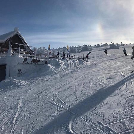 Schronisko Pttk Hala Szrenicka Pansiyon Szklarska Poreba Dış mekan fotoğraf